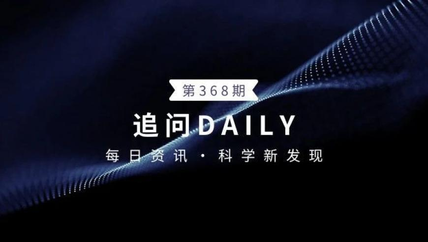 海关总署：即日起暂停进口美国原木,新奥门免费资料大全历史记录开马,详细释义解释落实_VR版V10.27