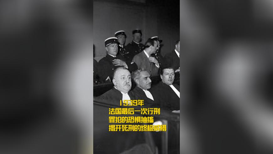 新澳门内幕管家婆资料,乒坛传奇倪夏莲空降百度聊国乒秘,经济性执行方案剖析_增强版V5.1