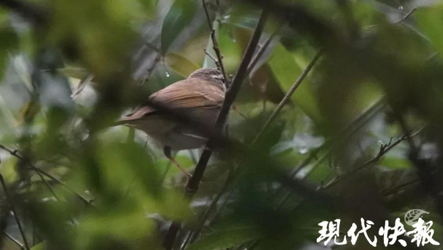 香港天空彩与您同行,云南一女子失联 疑带三月龄女儿跳江,权威独家讨论与热门话题_经典版V2.6